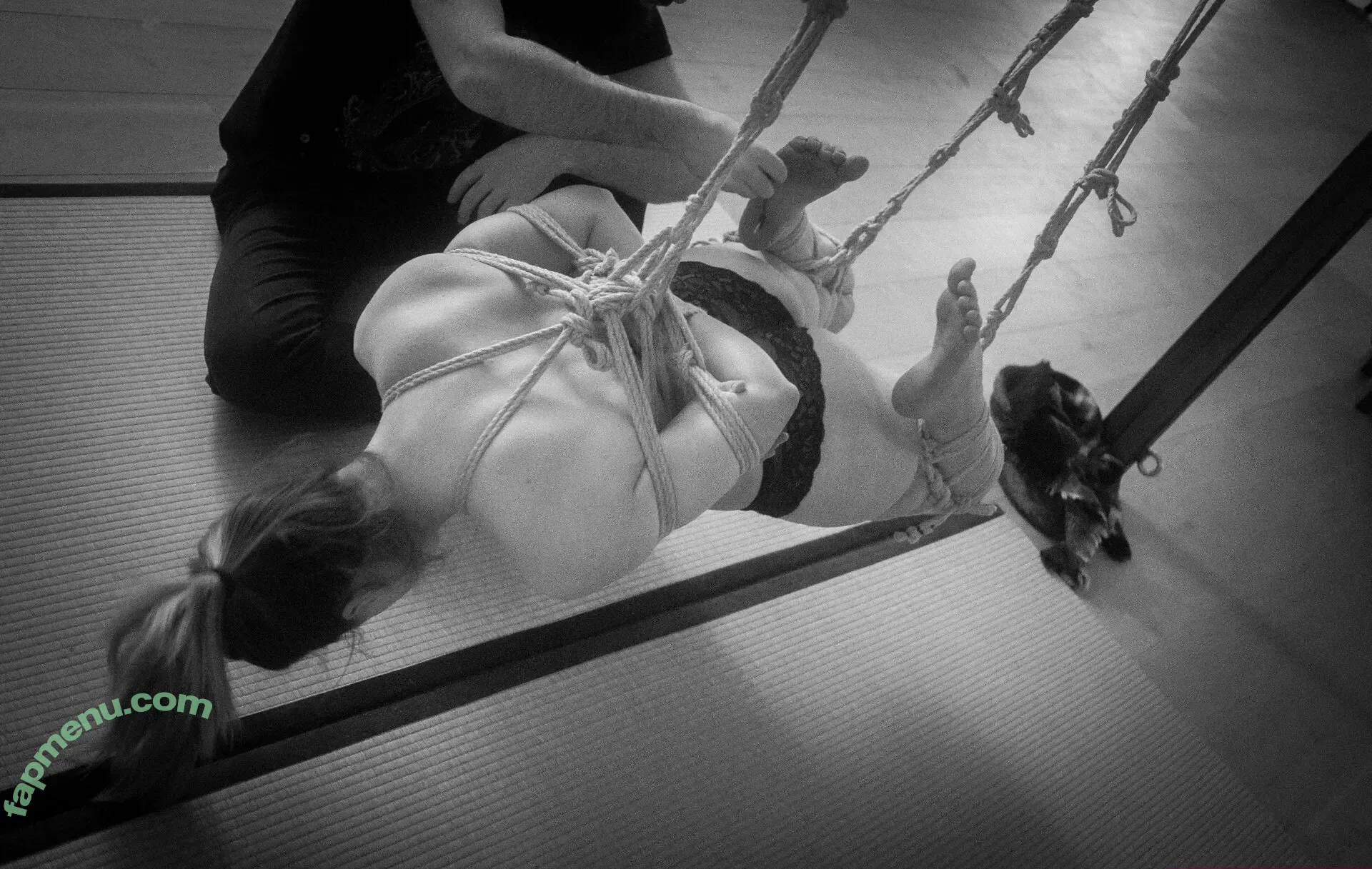 trenzalore_shibari nude photo #0035 (tensionmtl)