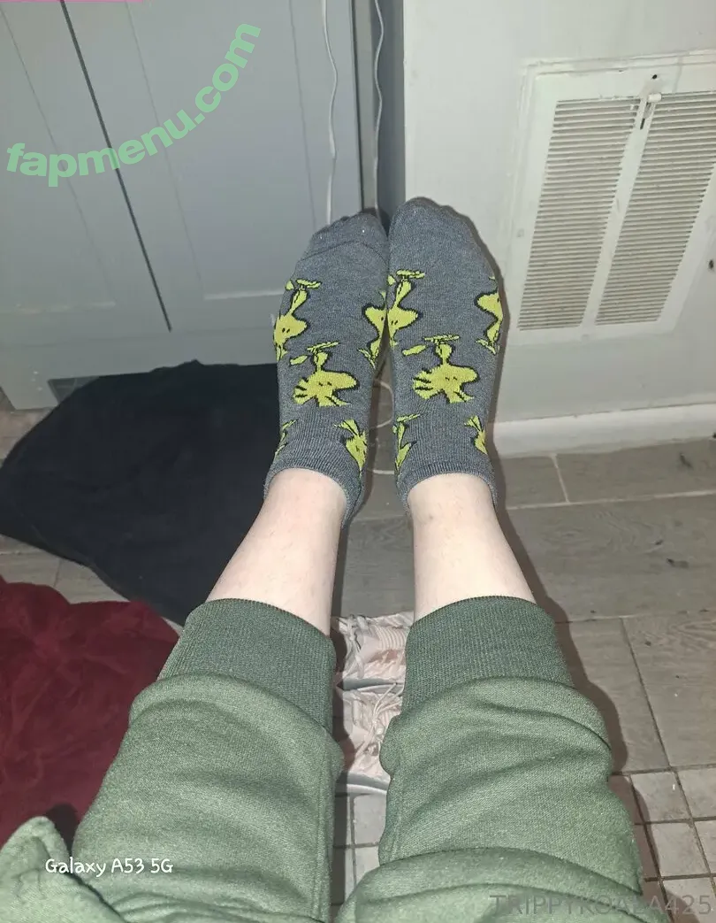 trippykoala425 nude photo #0215 (trippykoala425)