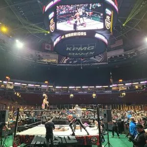 Trish Stratus / trishstratuscom nude photo #0757