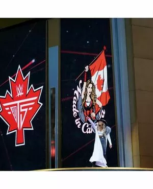 Trish Stratus / trishstratuscom nude photo #0923