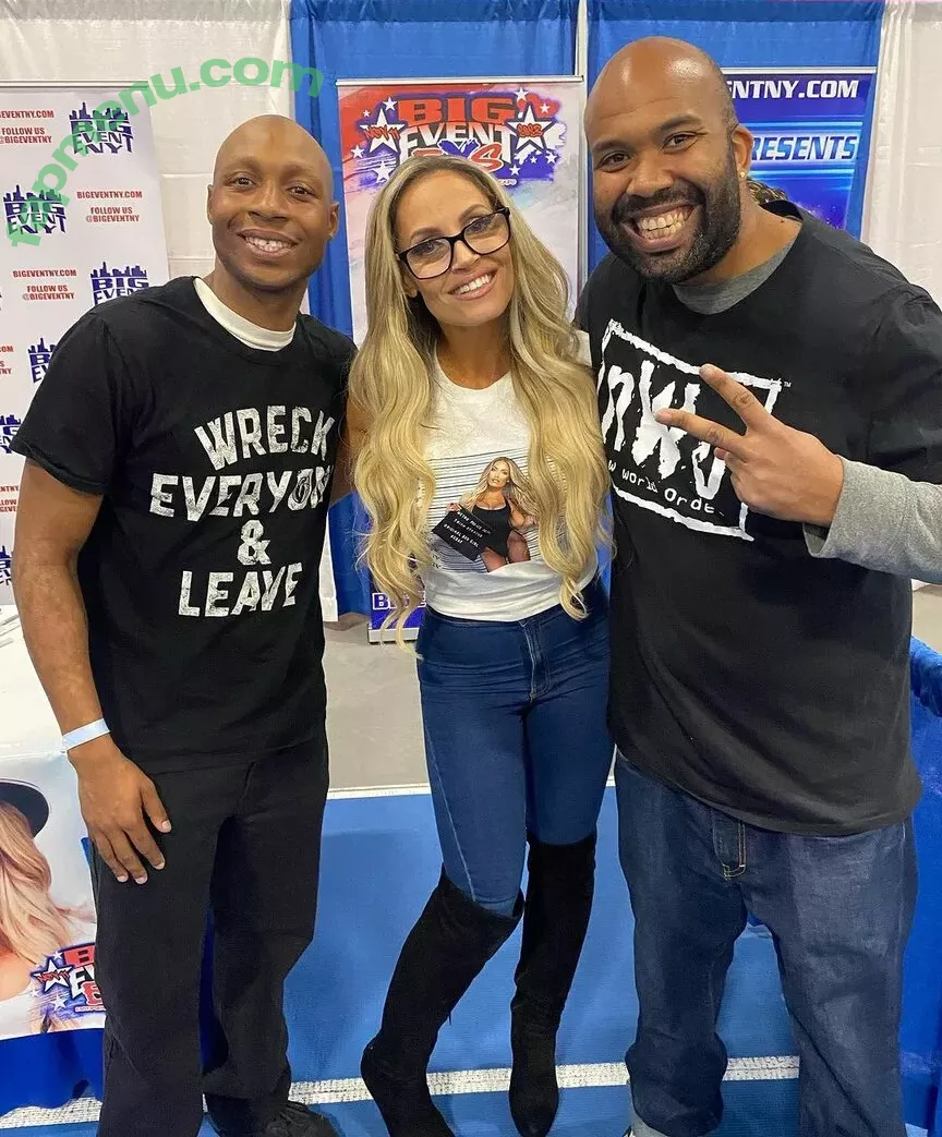 Trish Stratus nude photo #1304 (trishstratuscom)