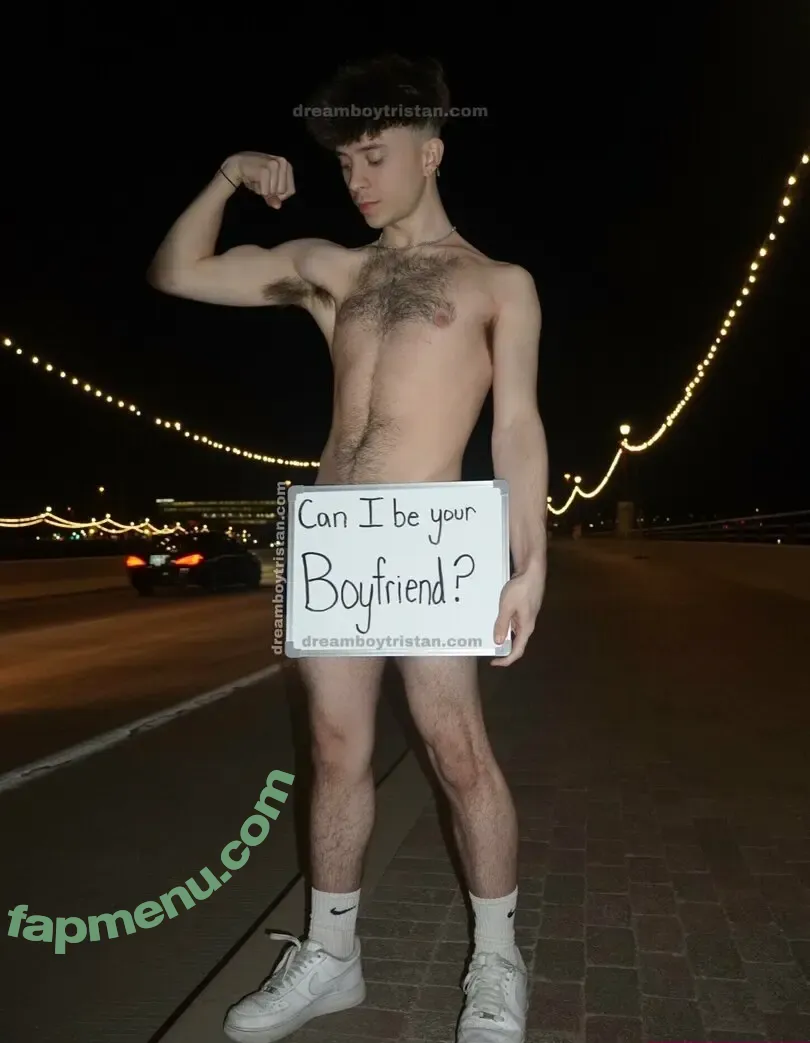 tristan-west nude photo #0017 (dreamboytristanx)
