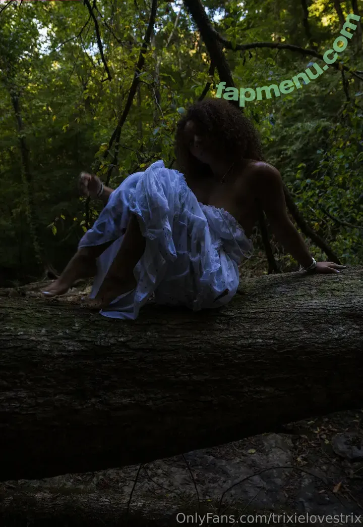 Trixielovestrix nude photo #0039 (Trixielovestrix)