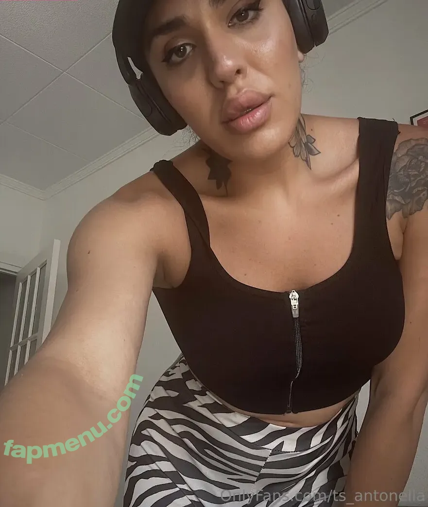Ts.antonella nude photo #0089 (soyantonellag / ts_antonella)