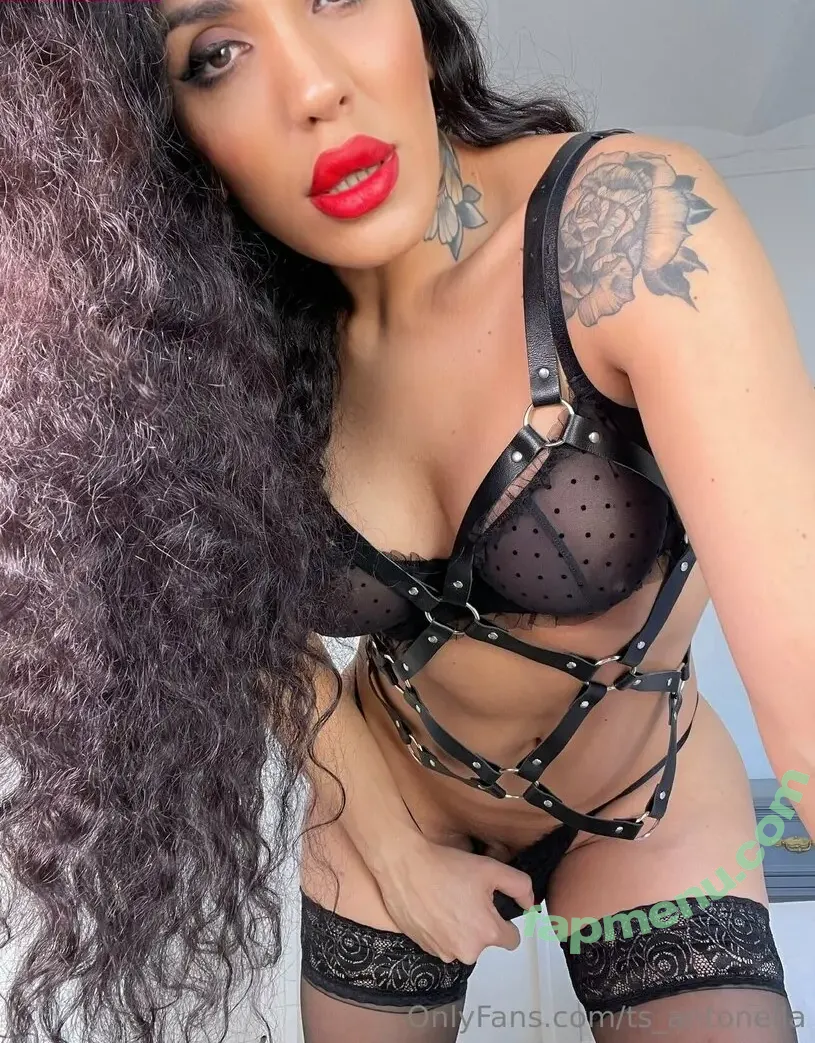 Ts.antonella nude photo #0151 (soyantonellag / ts_antonella)