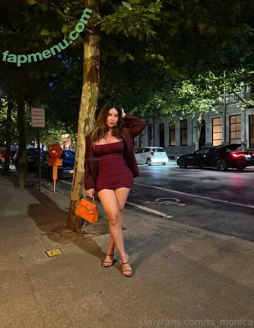 ts_monica nude photo #0085 (tsmonica)