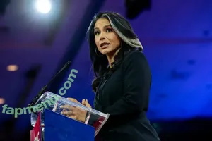 Tulsi Gabbard / tulsigabbard nude photo #0074