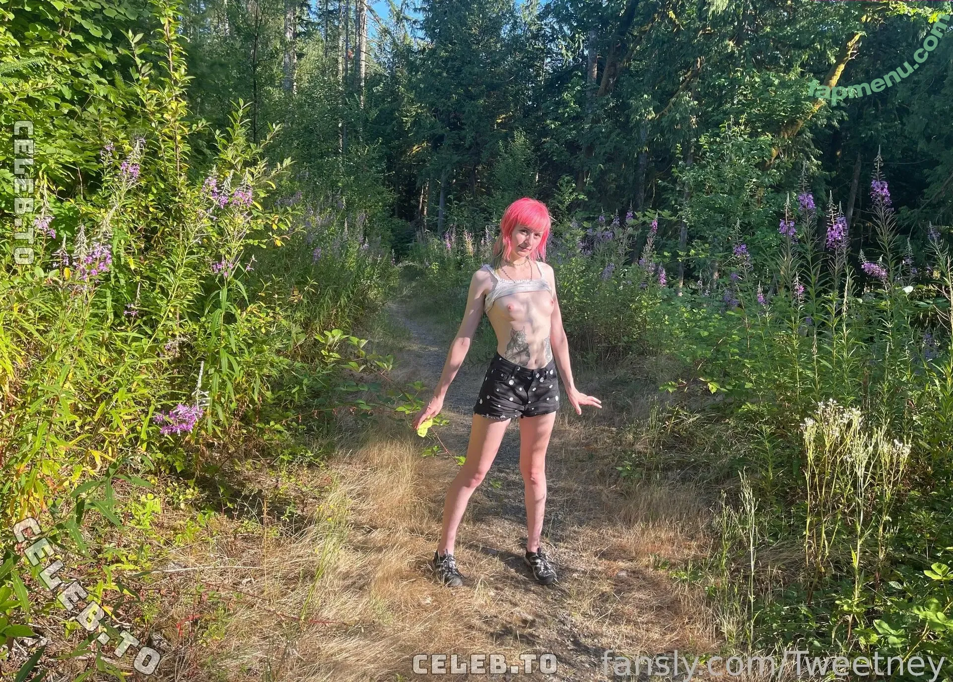 Tweetney nude photo #0591 (tweetneypie)