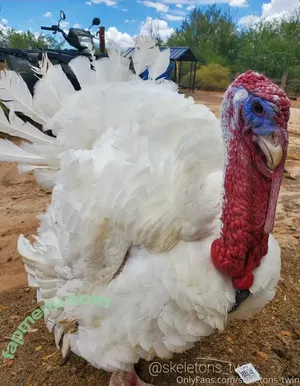 twinkleskeleton / twinkleskeletons nude photo #0016