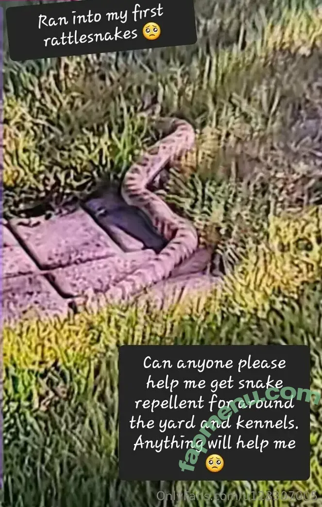 u128307005 nude photo #0138 (maggieeg205)