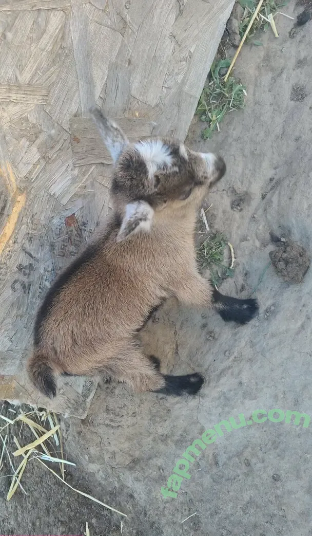 u128307005 nude photo #0139 (maggieeg205)