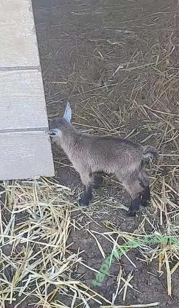 u128307005 nude photo #0140 (maggieeg205)