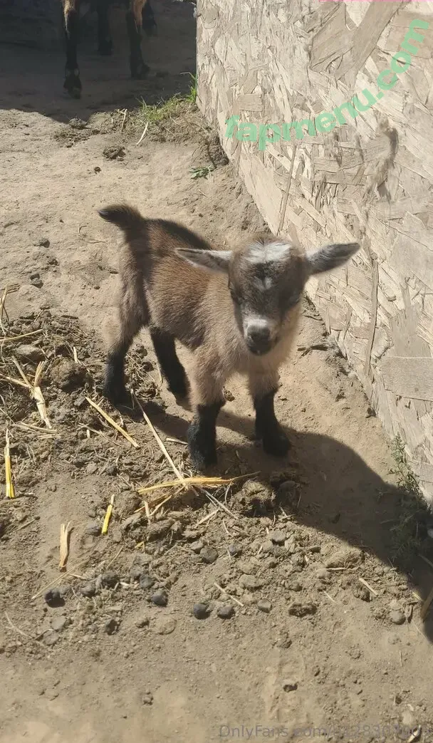 u128307005 nude photo #0141 (maggieeg205)