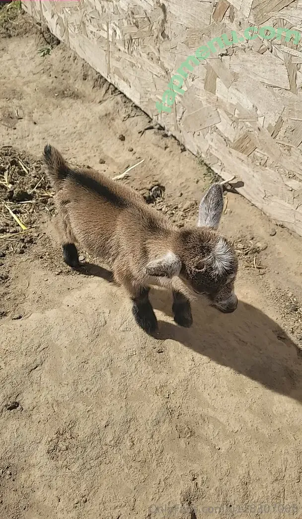 u128307005 nude photo #0142 (maggieeg205)