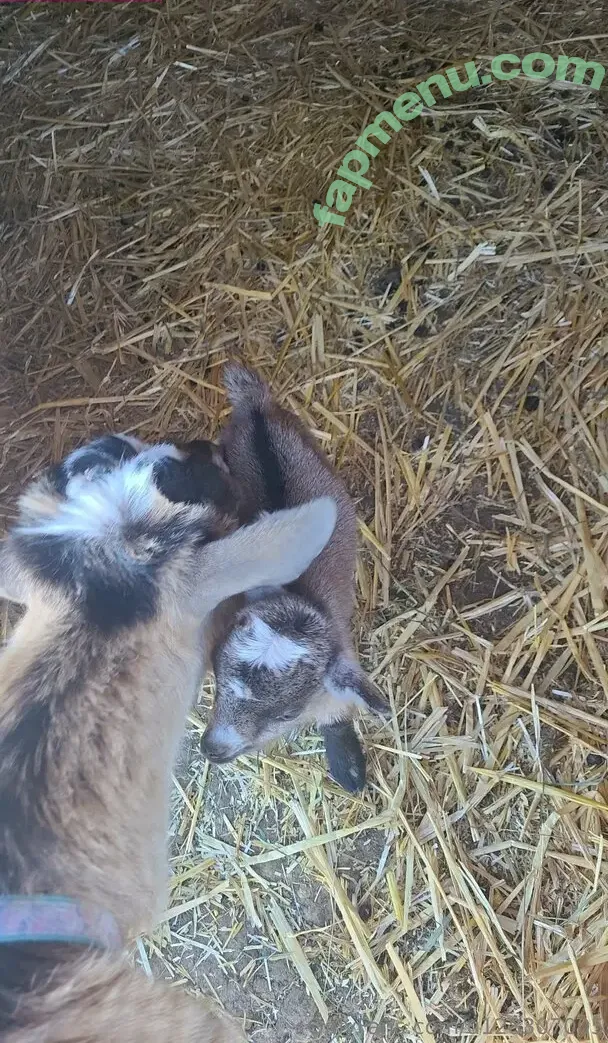 u128307005 nude photo #0143 (maggieeg205)