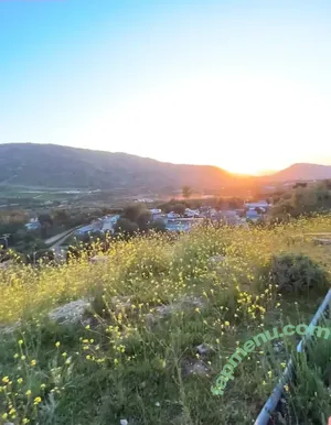 u223697746 / hesosoutheast nude photo #0021