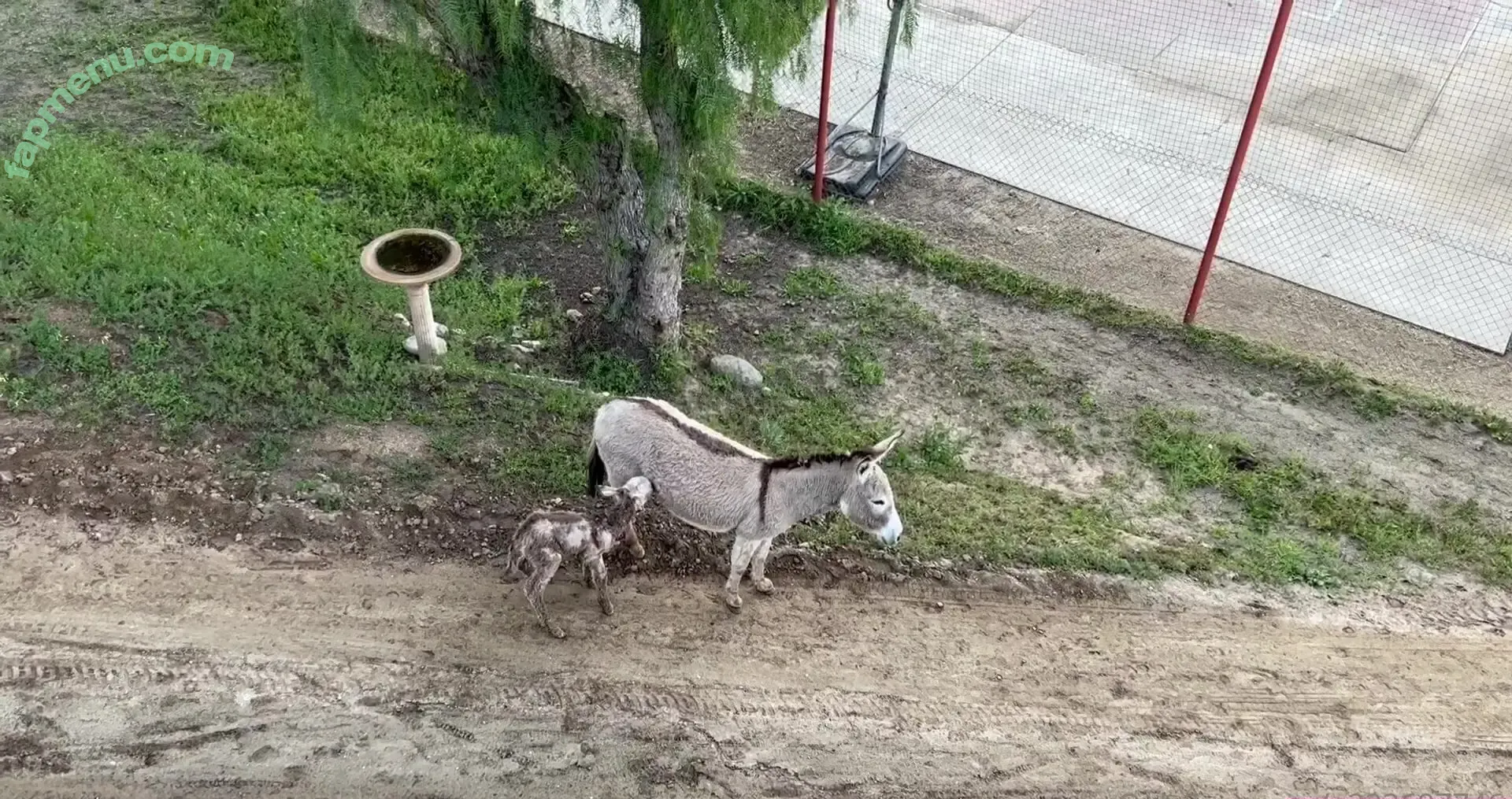 u223697746 nude photo #0028 (hesosoutheast)