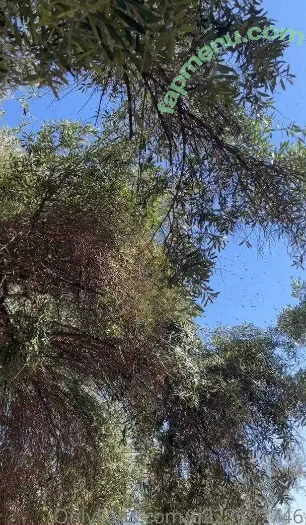 u223697746 nude photo #0029 (hesosoutheast)