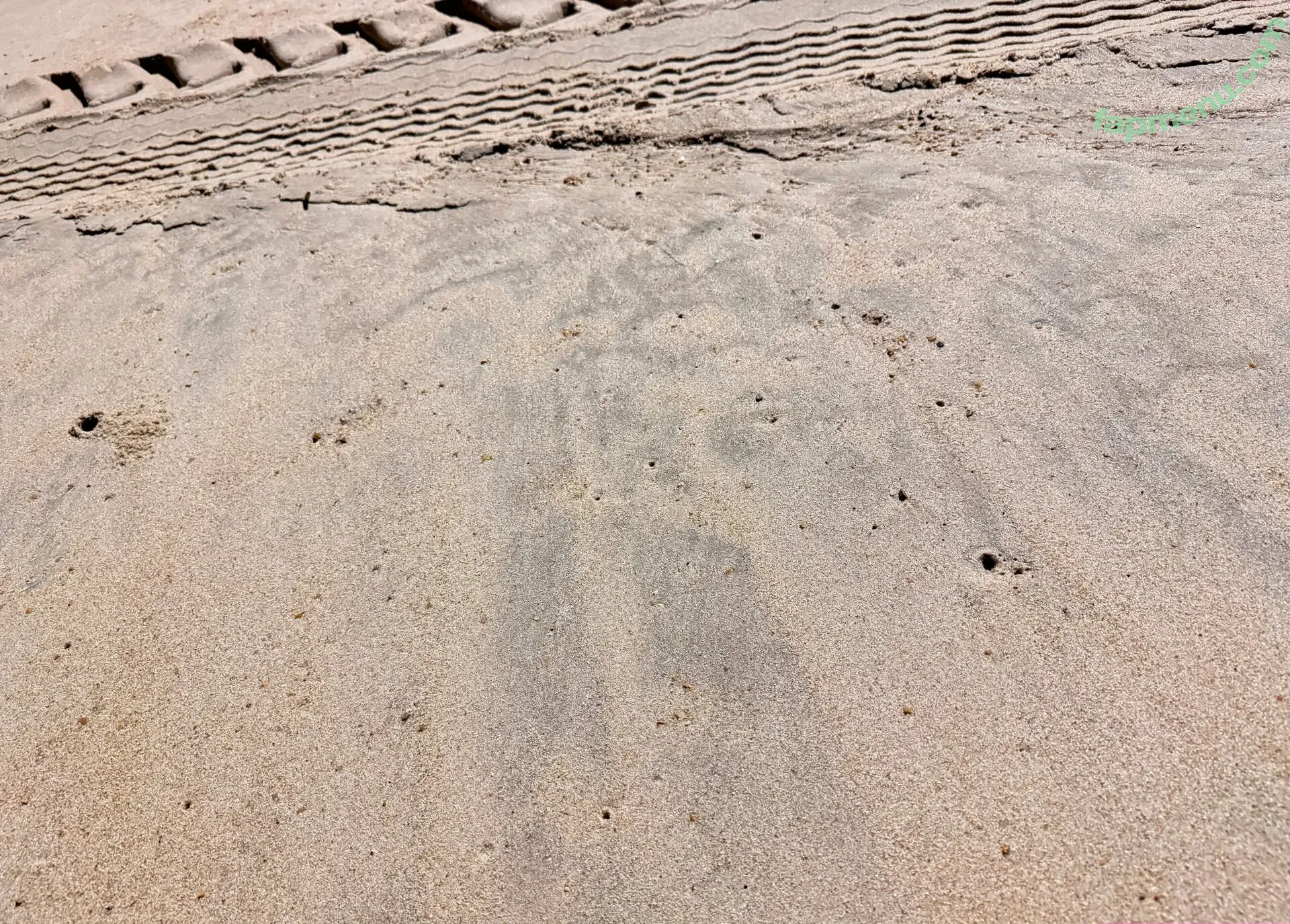 u348445583 nude photo #0009 (u348445583)