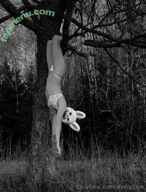ulydig-free / ulydigretshjaelp nude photo #0011