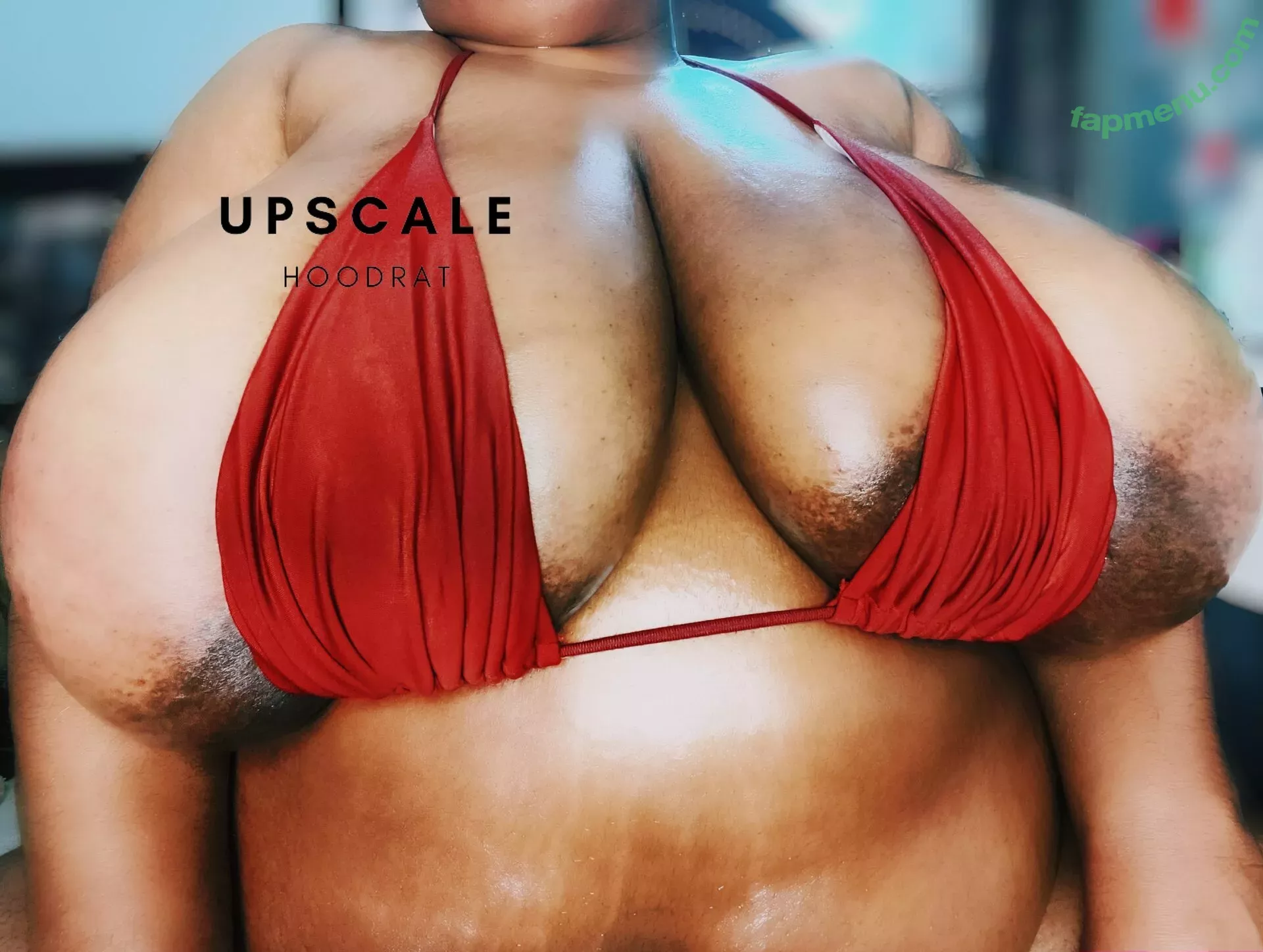 upscalehoodrat2 nude photo #0012 (upscalehoodrat2)