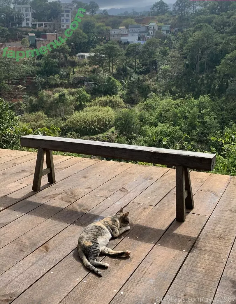 uyuy2907 nude photo #1340 (uyuychan2907)