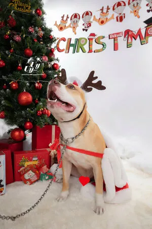 uyuy2907 / uyuychan2907 nude photo #2130