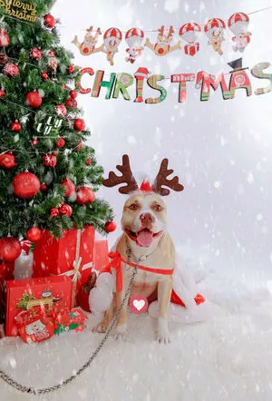 uyuy2907 / uyuychan2907 nude photo #2131