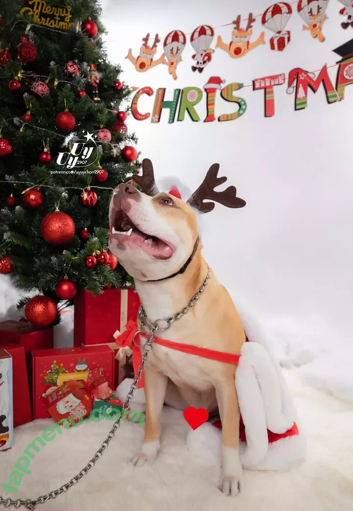 uyuy2907 nude photo #2130 (uyuychan2907)