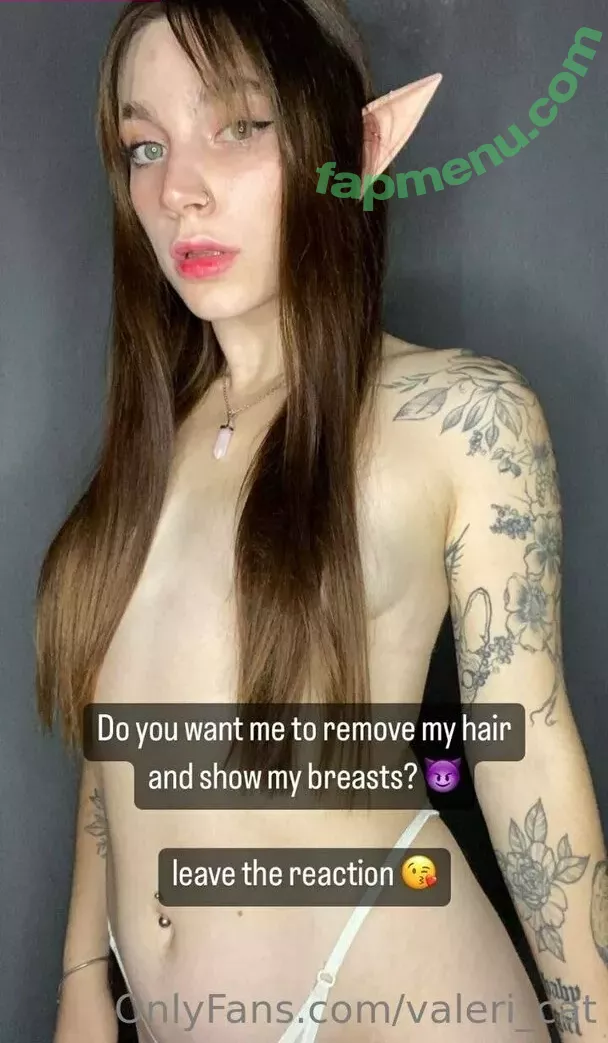 Valeri Catwoman nude photo #0006 (valeri_cat / valerizco)