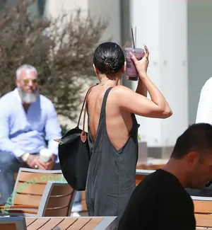 Vanessa Hudgens / VanessaHudgens nude photo #0974