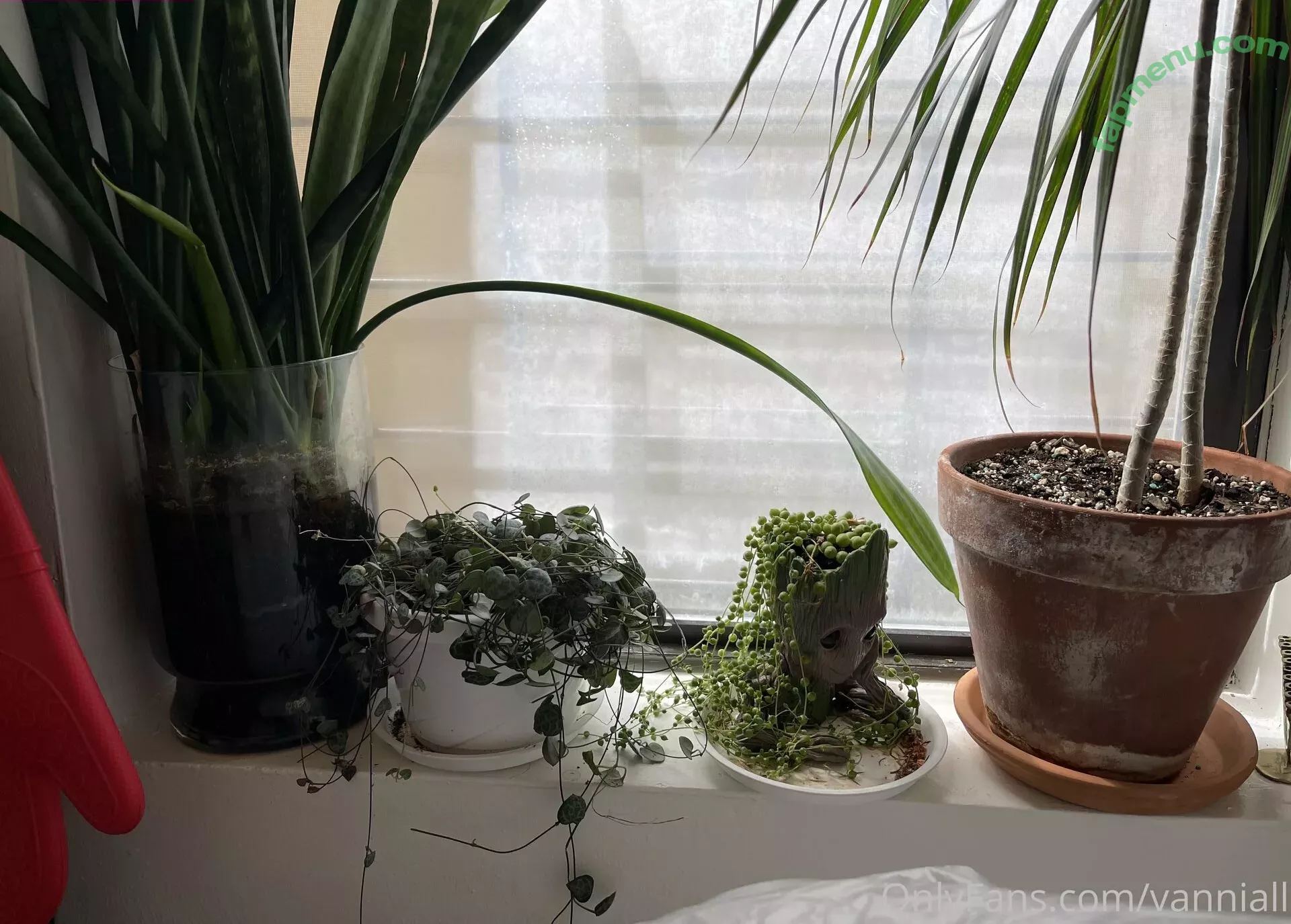 Vanniall nude photo #0123 (Vannialll)