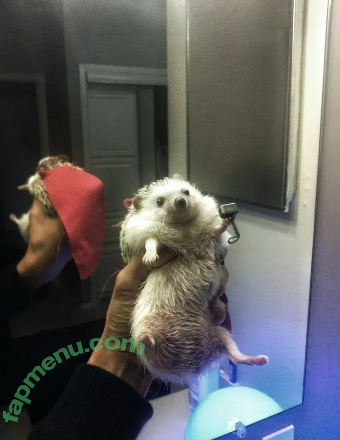 Vasilielcosplay nude photo #0270 (Vasiliel / Vasiliel_cosplay / Василиса Тим)