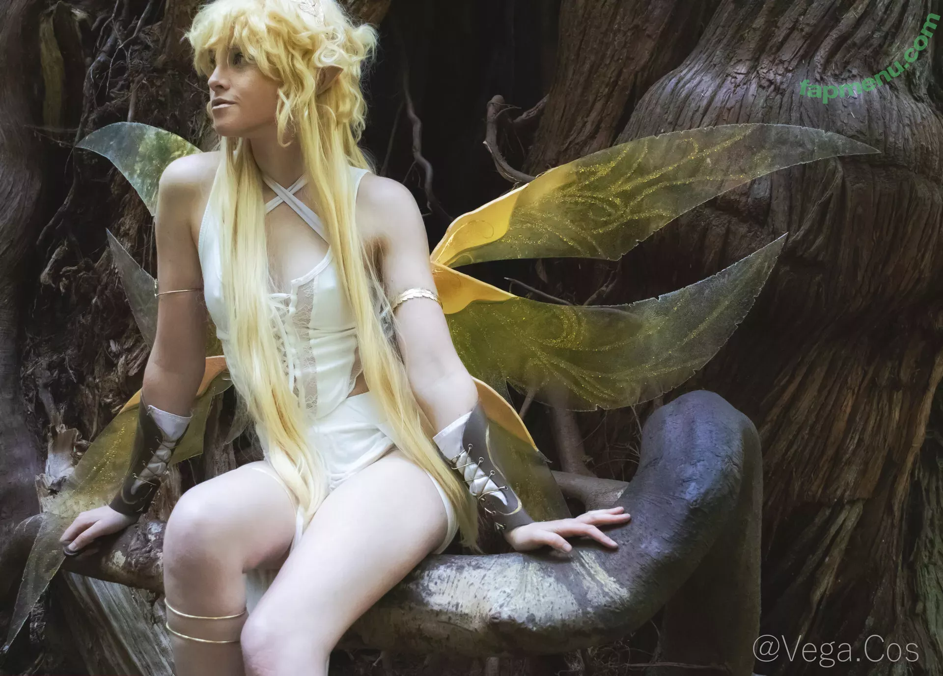 vega.cos nude photo #0039 (anyuser)