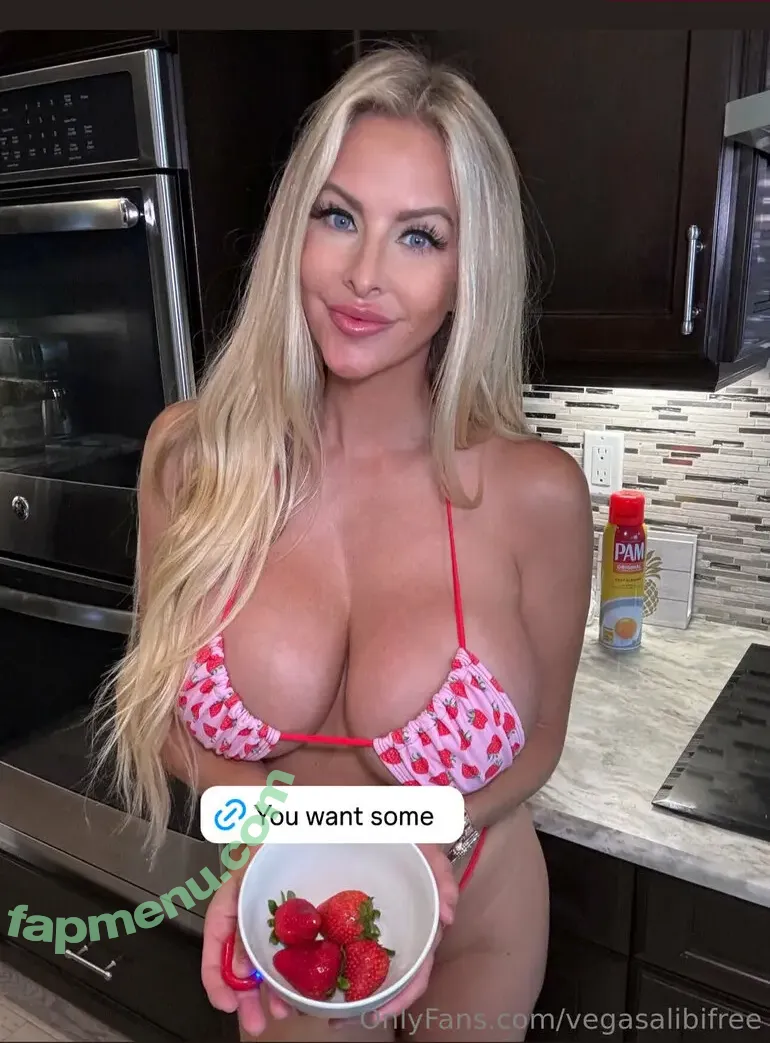 vegasalibifree nude photo #0003 (thevegasalibi)