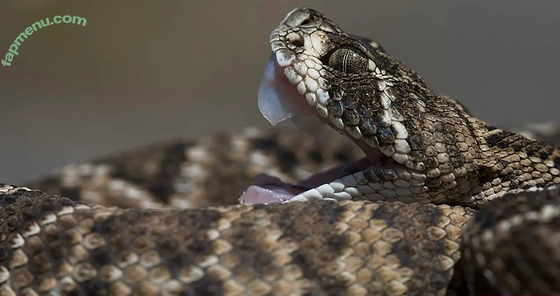 Venomous nude photo #0022 (Venomous)