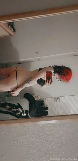 venomroseexotic / djbobbymac nude photo #0083