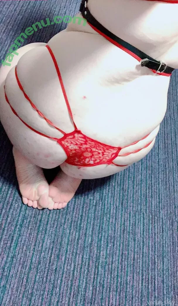 venus_skyy nude photo #0012 (venus_skyy_)
