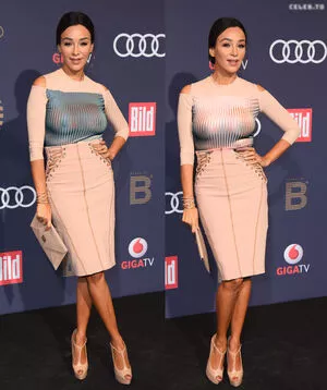 Verona Pooth / VeronaPooth_ / verona.pooth nude photo #0245