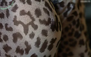 vi_angel / vi.angel.02 nude photo #0221