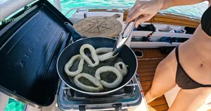 Victoria Ferreira / YBS Youngbloods / vickiferreira nude photo #0068