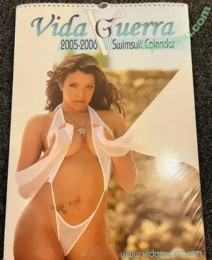 Vida Guerra / vidaguerra nude photo #0180