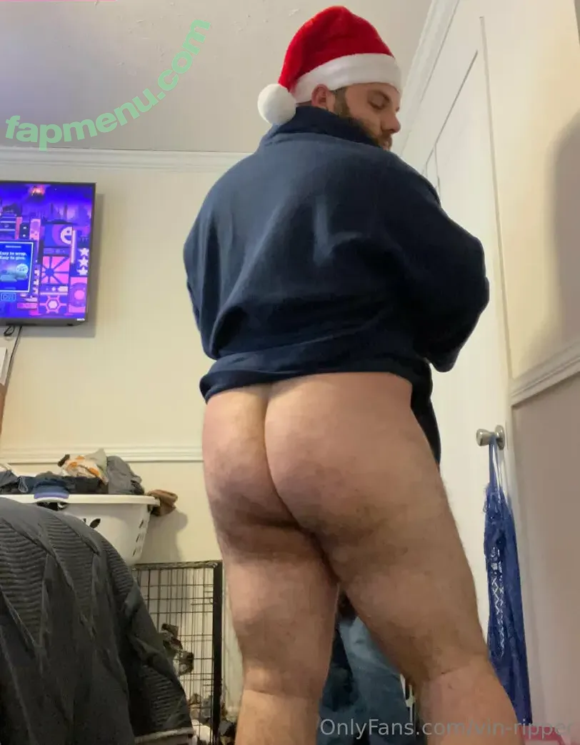 vin-ripper nude photo #0003 (vin_ripper_529)