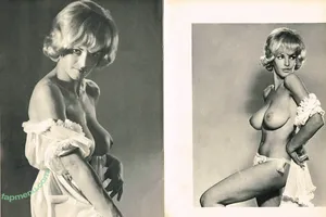 pinup_vintage_gallery leaks