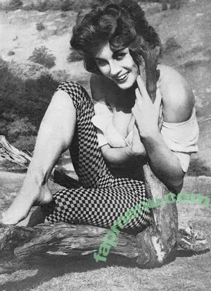 Vintage English Pinups / pinup_vintage_gallery nude photo #0319