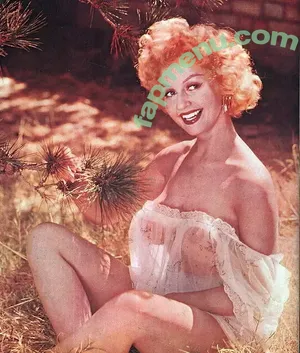 Vintage English Pinups / pinup_vintage_gallery nude photo #0382