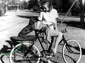 Vintage Sexy Celebs / vintagemoviestars nude photo #0819