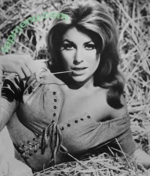 Vintage Sexy Celebs / vintagemoviestars nude photo #0937