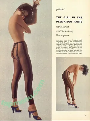 Vintage Sexy Celebs / vintagemoviestars nude photo #1053