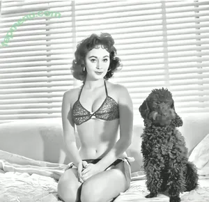 Vintage Sexy Celebs / vintagemoviestars nude photo #1059